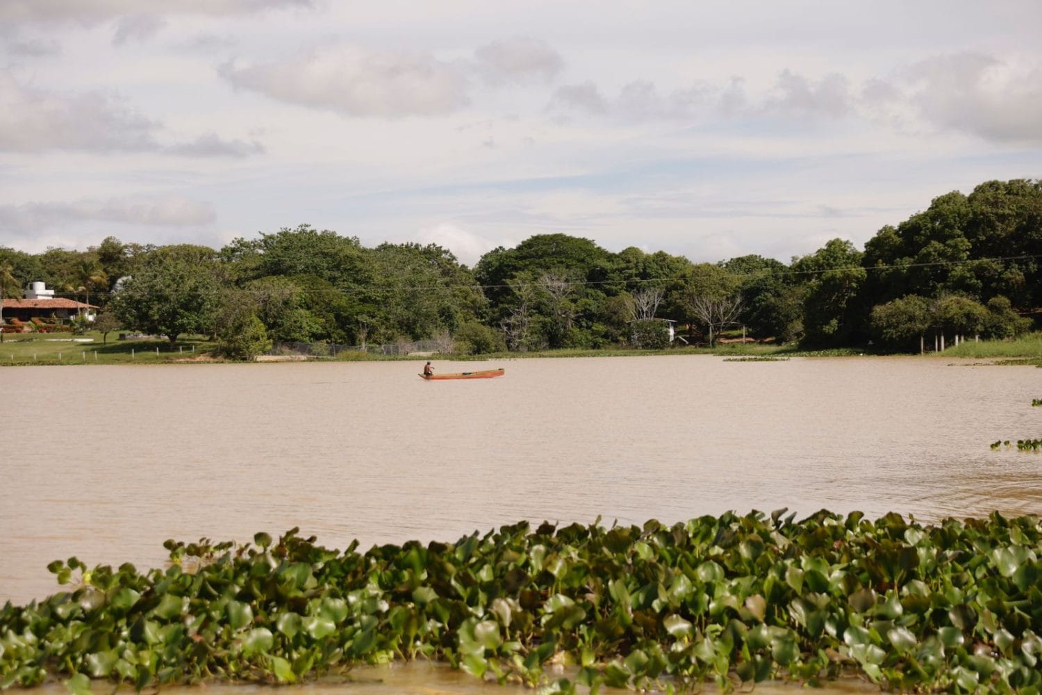 ayapel-cop16-1500×1000