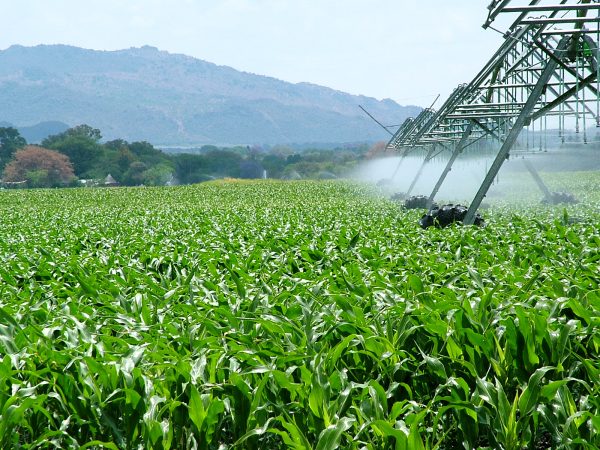Agroindustria