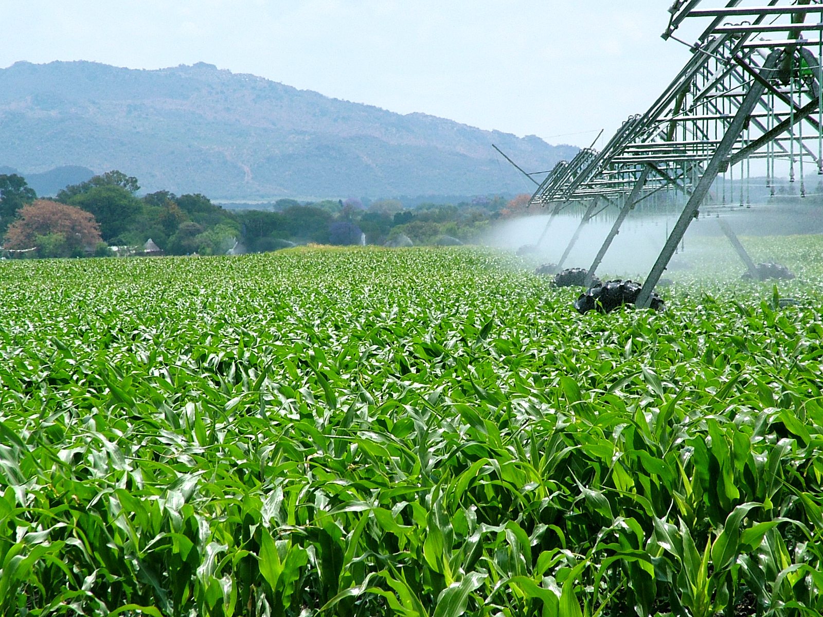 Agroindustria
